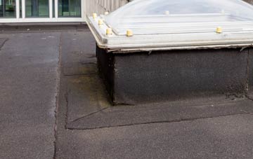 disadvantages of North Roe flat roofs