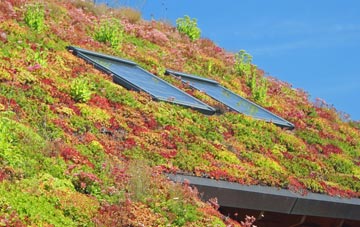 North Roe living roof systems